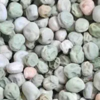 خریدوفروش بذر نخودفرنگی وباقلا برکت|خوردنی و آشامیدنی|جویبار, |دیوار