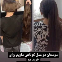 خریداراصلی موهای بانوان باقیمت میلیونی (صادرکننده