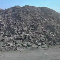 بار کود گوسفند|خدمات باغبانی و درختکاری|سبزوار, قصبه غربی|دیوار