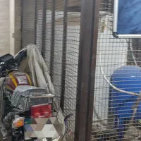 موتور پیشرو تیزتک 150 استارتی|موتورسیکلت|شیراز, پارک آزادی|دیوار