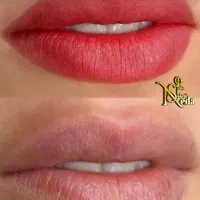 شیدلب وتینت لب طبیعی ونچرال