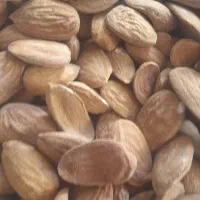 بادام ارگانیگ خوانسار