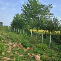 پایه  فنس|مصالح و تجهیزات ساختمان|رضوانشهر, |دیوار