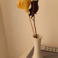 وسایل قدیمی|کلکسیون اشیاء عتیقه|کرمانشاه, |دیوار