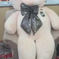 عروسک خرسی
