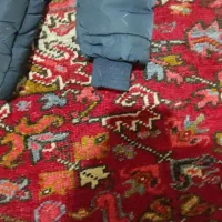 کاپشن بچه گانه|کفش و لباس بچه|صوفیان, |دیوار