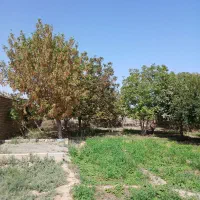 فروش باغ