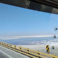 نیازمند یک راننده پایه یک