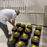 خرید از درب کارخانه شیره انگور میوان|عمده‌فروشی|ملایر, |دیوار