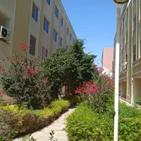 نیازمند همخونه خانم مرکز شهر روبروی بازار پردیس|اجارهٔ آپارتمان|کیش, |دیوار