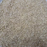 برنج عنبربو