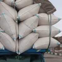 فروش کاه زنجان به صورت عمده وخرده