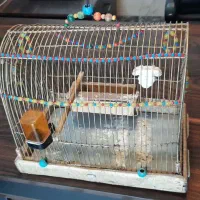 قفس دست ساز سهره