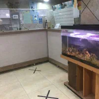 فروش مجوز و کلیه تجهیزات دفتر کار جهت نوشت افزاری