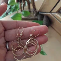 ی لنگه گوشواره پیدا کردم