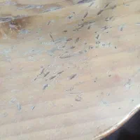 گالن‌خارجی‌۲۰لیتری