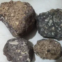 سنگ فسیل وغیره|بدلیجات|کرج, برغان|دیوار