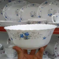 آرکوپال فله قیمت عمده ارسال رایگان|ظروف سرو و پذیرایی|اهواز, شریعتی جنوبی|دیوار