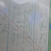 زمین زراعی دیمی بر جاده بین المللی