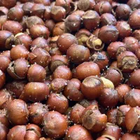 فروش فندق ویژه ی اشکورات خوب با بالاترین کیفیت