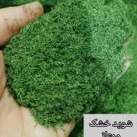 نعنا وشوید خشک،گل محمدی،زردچوبه،فلفل، چهار زیره|خوردنی و آشامیدنی|مشهد, امیر|دیوار