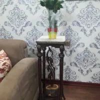 میزوآباژور