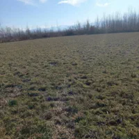 زمین باغی خارج طرح مناسب درختکاری|فروش دفتر صنعتی، کشاورزی، تجاری|صومعه‌سرا, |دیوار