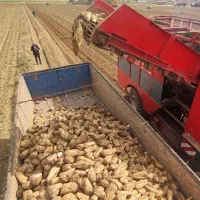 خدمات بنز تک کمپرسی|خدمات حمل و نقل|کنگاور, |دیوار