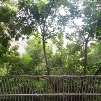 استخدام پرستار خانم