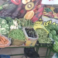 تجهیزات کامل میوه فروشی