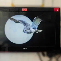 تلوزیون 32 اینچ ال جی