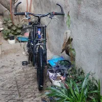 ۶۰۰۰۰۰۰میلیون|دوچرخه، اسکیت، اسکوتر|تهران, بهداشت|دیوار