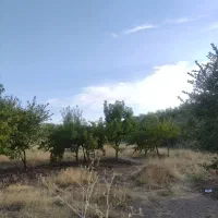 باغ-در-کوی-باغستان-سد-آیدوقموش
