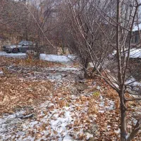 جاده چالوس گچسر ۱۳۵ متر زمین