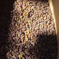 کشمش، سایه خشک، مویز، شیره انگور فرخی|خوردنی و آشامیدنی|اسدآباد, |دیوار