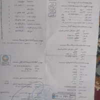 بوغلمون محلی|حیوانات مزرعه|شیبکوه (فارس), |دیوار