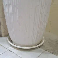 گل وگلدان