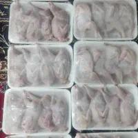 بلدرچین کشتار روز