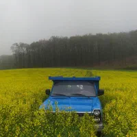 باربری و حمل و نقل