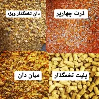 دان مرغ اردک غاز بوقلمون بلدرچین جوجه خوراک دام