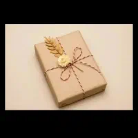 دریافت در آمد در خانه