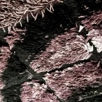فرش