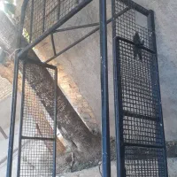 باربندوانت پیکان در حد بدون عیب