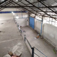 سیمکشی ،نصب آیفون ،برقکار صنعتی، کولر، رفع اتصالی|خدمات پیشه و مهارت|تهران, شادآباد|دیوار