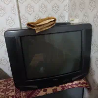 تلویزیون