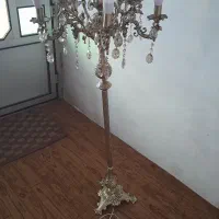 یک عدد اباژور چند شاخه