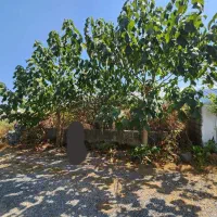 500 متر زمین شهرکی در متل قو خیابان فلاحی|فروش زمین و ملک کلنگی|سلمانشهر, |دیوار