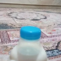 شیر عمده و تعداد