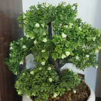 گلدان مصنوعی