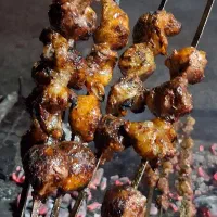 نیروی اقا برای کبابی